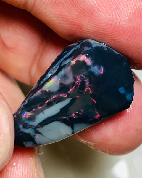 Australian Rough / Rub N2 Black opal  17.5cts Large Picture stone with Red & pink fires in bars 25x14x8mm WSQ30