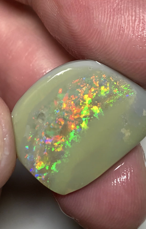 Australian Opal Top Notch Gem Quality Dark base Rub 14cts Rough / Rub / Preform Gemmy Multifires 22x17x4mm WSN33