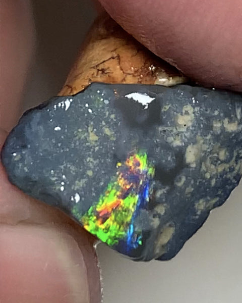 Australian Rough Opal 25cts N4 Black Seams single sat on host rock Bright reds & rainbow of fires showing in the exposed bar lots Potential  21x17x14mm WSN44