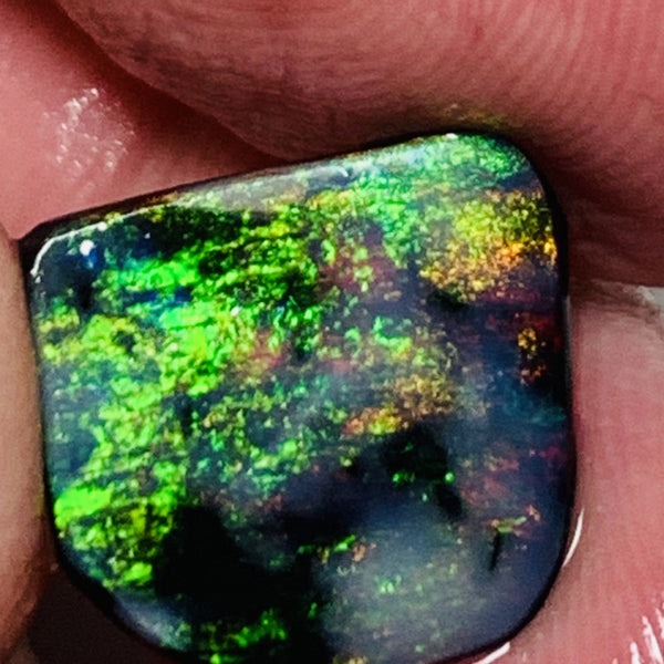 Lightning Ridge Black Opal Rough Rub 3.7cts Mulga® Field of Grawin Super Bright Yellow Orange & Red on Black 14x13x3mm WSJ49