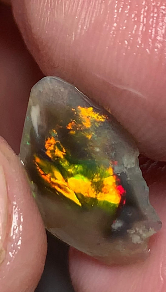 Australian Opal Gem Grade Single semi Black 2.4cts Rub/Rough Super bright Call 999 FIRE FIRE Broad flash pattern 18x12x1.5mm WSN29