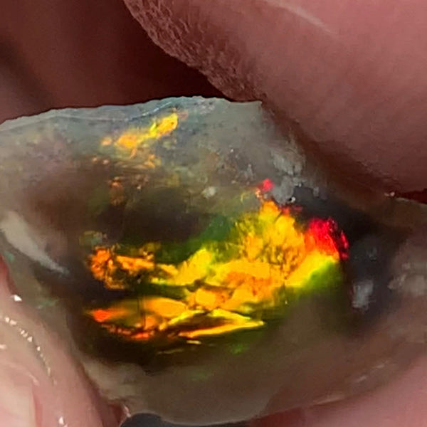 Australian Opal Gem Grade Single semi Black 2.4cts Rub/Rough Super bright Call 999 FIRE FIRE Broad flash pattern 18x12x1.5mm WSN29