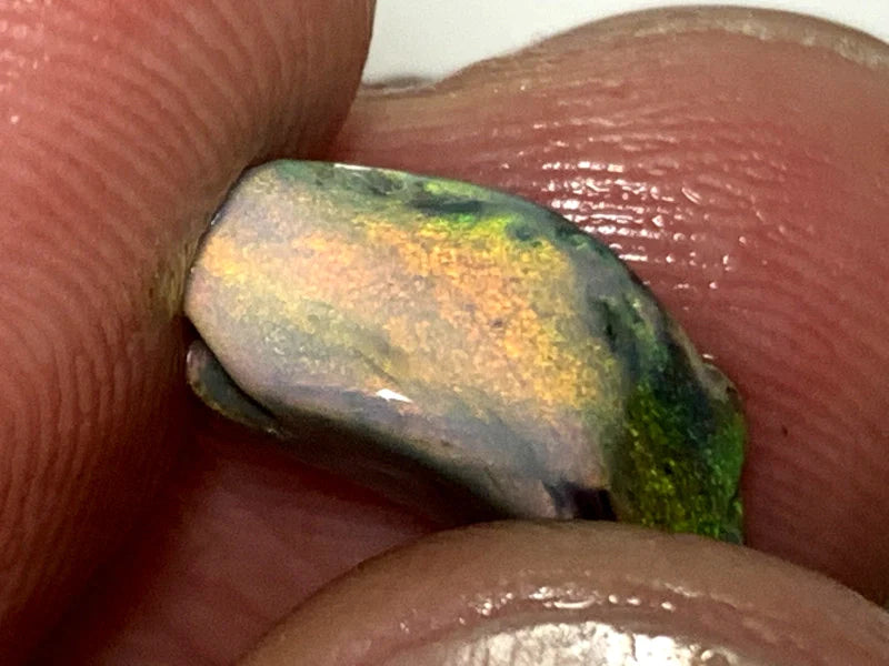 Opal Fever Mate Auction