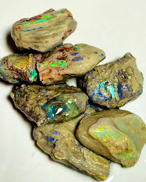 Lightning Ridge Rough Dark Base Bright Multi colour Opal formation Parcel 93cts Lots of Potential & Cutters Lots bright colours & bars 23x20x6mm to 18x13x8mm WAC07