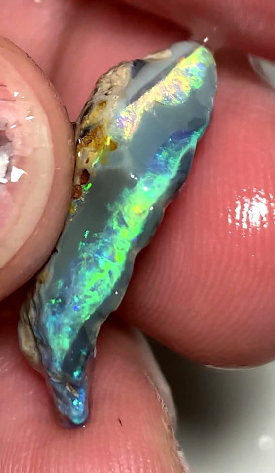 OPAL MONTH SPECIAL Lightning Ridge Rough Opal Dark Base 15cts Cutters Candy Exotic High Grade Bright Multifires in stunning bars 25x15x7mm WSZ59