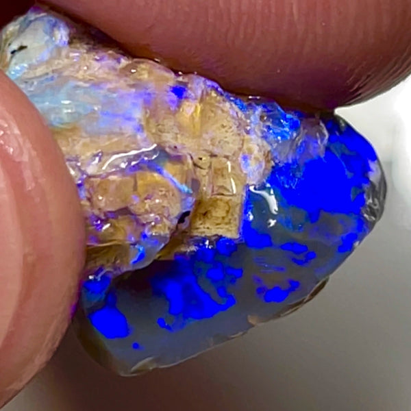 Super Bright Vivid & vibrant Blues on Black Crystal base knobby rough opal 18.75cts From Lightning Ridge Material to cut & polish a Gem  18.000 x 15.000 x 10.000 mm NSW155