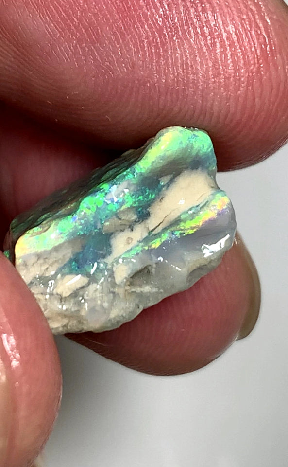 Lightning Ridge Rough Opal 12cts Untouhed Seam formation Crystal Stunning Bright  Multifires showing 18x15x8mm  WAA48