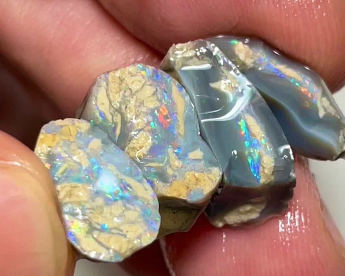 Knobby Rough opal from Lightning Ridge Australia 23cts total weight size range of 14x12x6 to 13x9x8 mm Nice fires OH1849