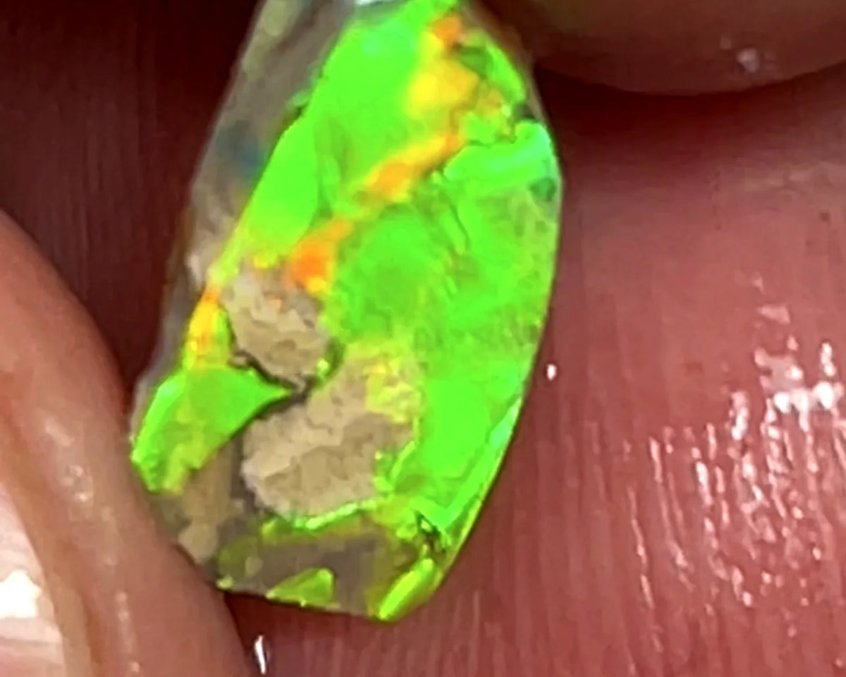 Opal Fever Mate Auction