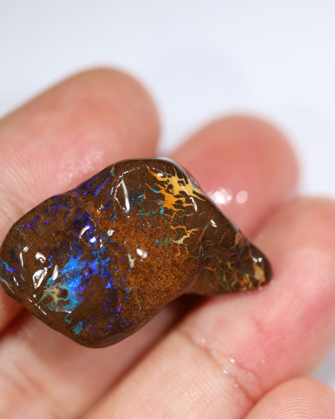 NO RESERVE Australian Queensland Boulder Matrix opal single 36cts Tumbled rough Koroit colours & potential 27x15x14mm WST21