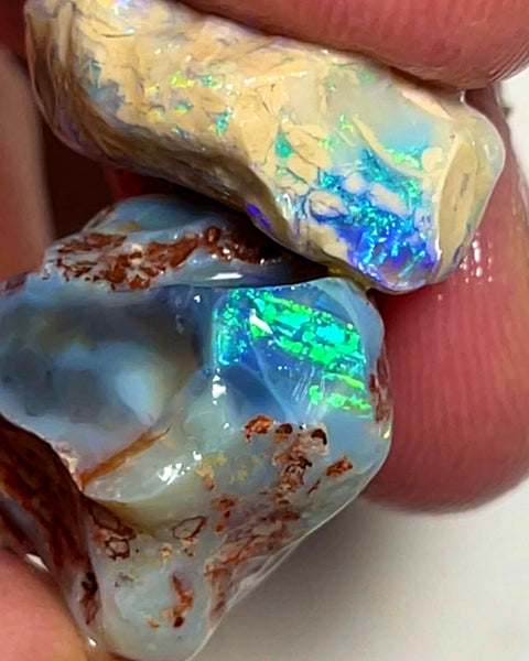 Lightning Ridge Rough Opal 33cts Pair Bright Dark Base Knobby Nice Bright Multi colour fires to Cut / carve & polish 21x18x14mm to 19x14x7mm 1011