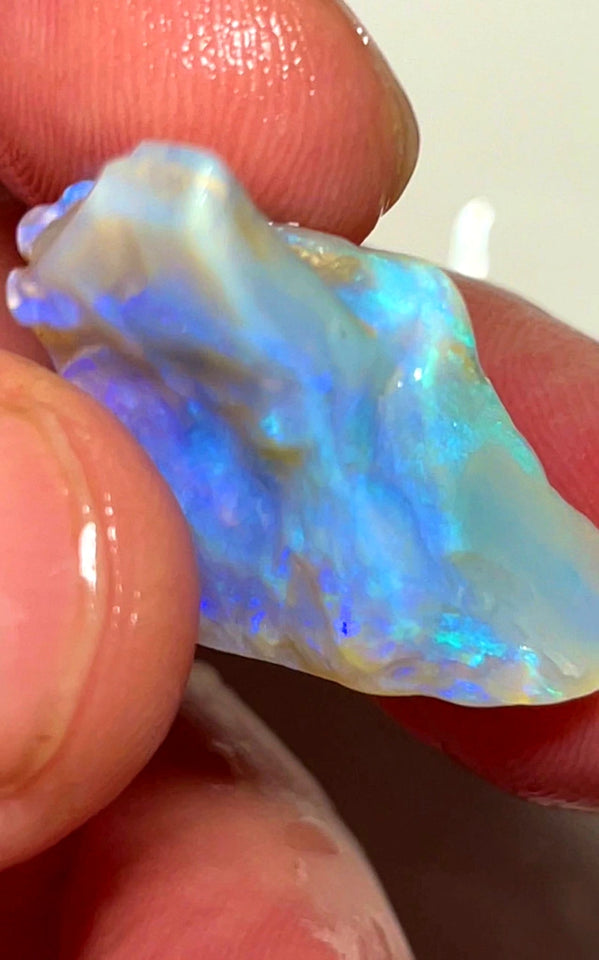 Lightning Ridge Rough Opal 20.5cts Stunning Thick Dark Crystal Seam with Gorgeous fires 27x22x8mm WAD6