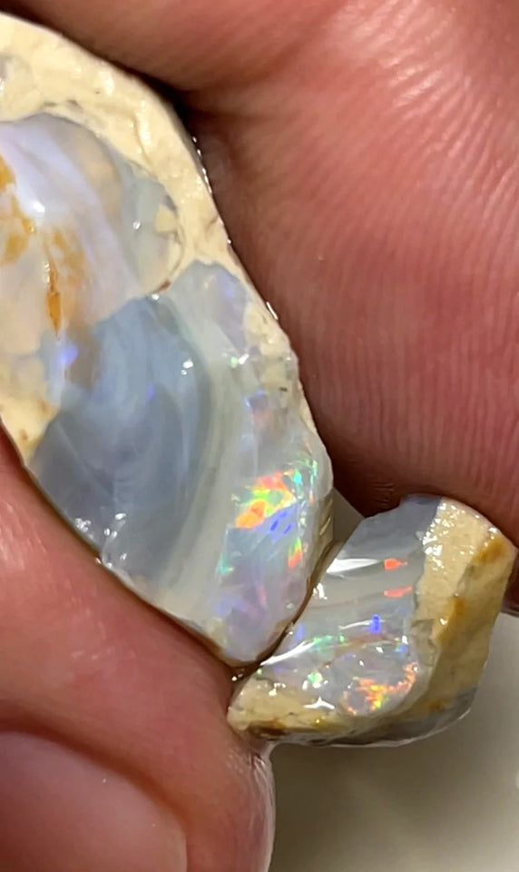 Opal Fever Mate Auction