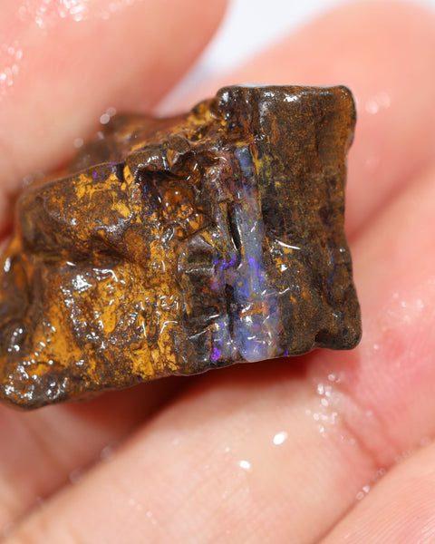 NO RESERVE Australian Queensland Boulder Matrix opal single 50cts Tumbled rough Koroit colours & potential 27x18x14mm BFA42