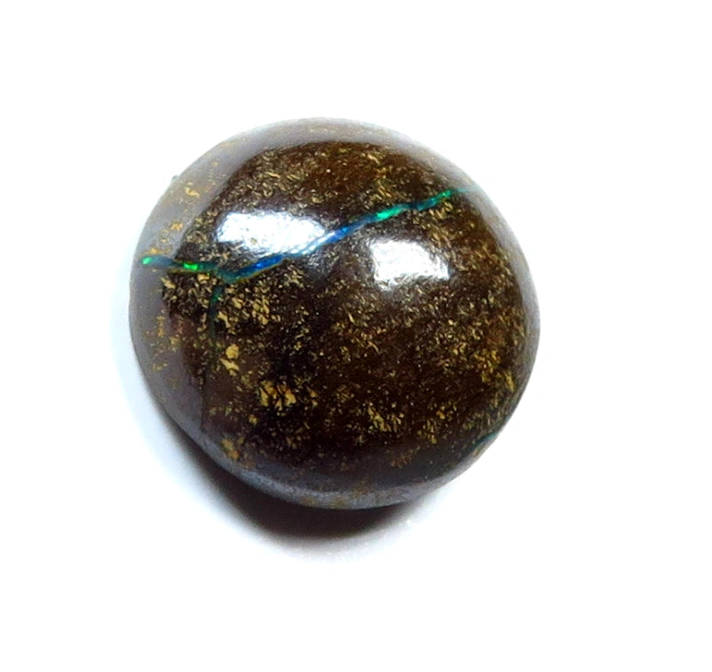 Queensland Boulder Matrix opal Polished Gemstone 4.9cts From Winton 12x12x4mm WAB75