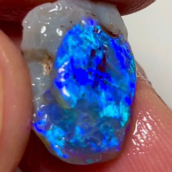 Lightning Ridge Black Knobby opal rough 7.50cts Very Bright blues to cut 16x10x9 mm NSW082