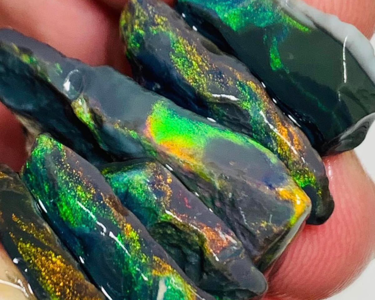 N1-N4 Mulga® Field Black Cutters Candy® Rough Opal parcel 64cts Gem Grade Top Exotic Bright Multi colour fires 35x25x8mm to 20x15x5mm MUL99