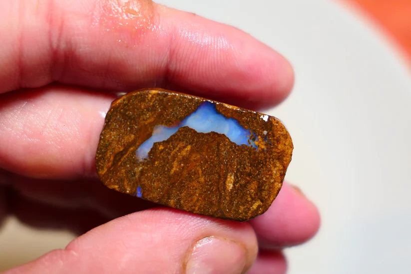 Queensland Boulder Matrix opal 51cts rough / slice Koroit some fires 30x16x6mm BD#02