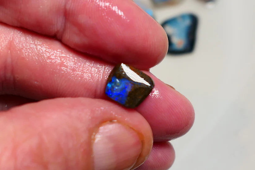 Queensland Boulder opal 3cts rub / rough / preform Koroit Blue fires 9x8x2mm BRA01