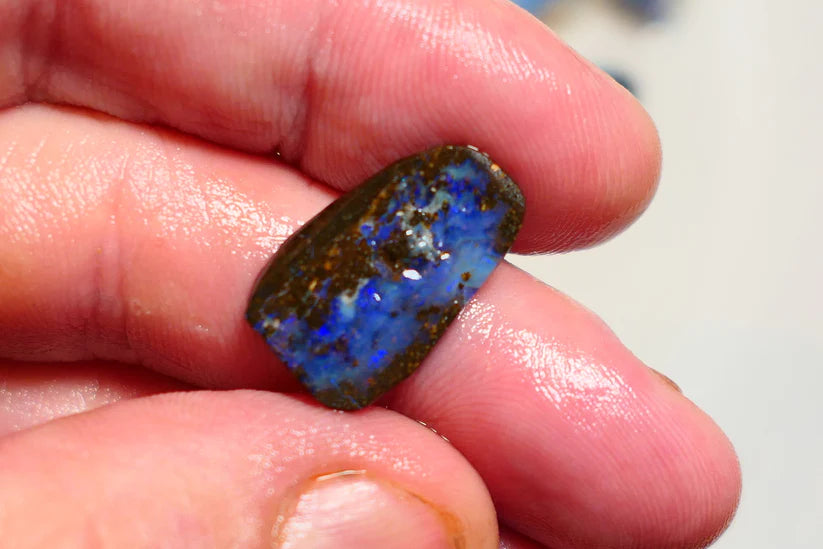 Queensland Boulder opal 4.5cts rub / rough / preform Koroit Blue fires 20x12x1.5mm BRA06