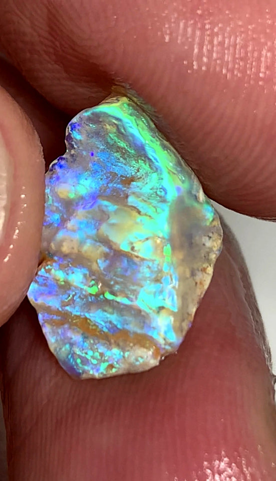 Lightning Ridge Rough Opal 4.4cts Opalised wood fossil Crystal Saturation of Fires showing 17x10x4mm WSZ80
