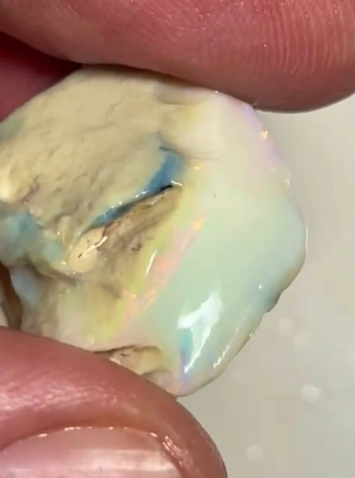 Pinks Lady's ? Lightning Ridge Seam opal rough to cut 30.75cts Gorgeous Pink dominant Multifires to cut 26x22x7 mm NEW955