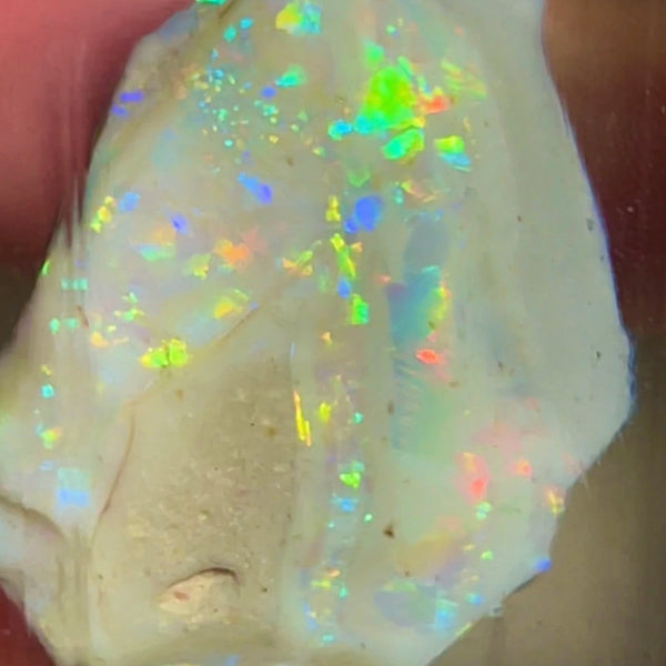 CUTTERS GEM ROUGH Lightning Ridge  47.75cts Bright gorgeous Multicolours to cut & polish 33.00x 18.00x 17.00mm NEW973
