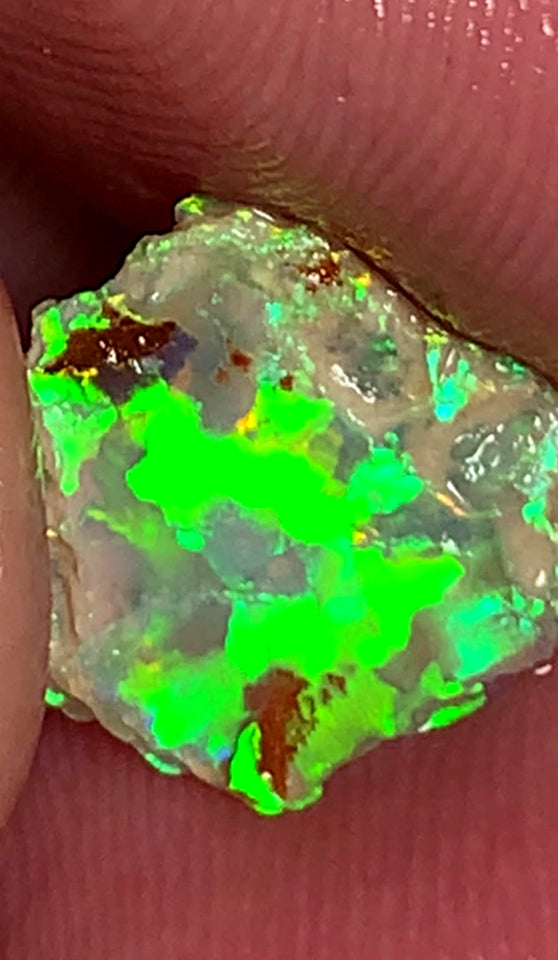Lightning Ridge Opal Miners Bench® Small Crystal base Rough / Rub 1.55cts Gorgeous Broad pattern with Bright Neon Electric Greens 11x10x2mm XMASB05