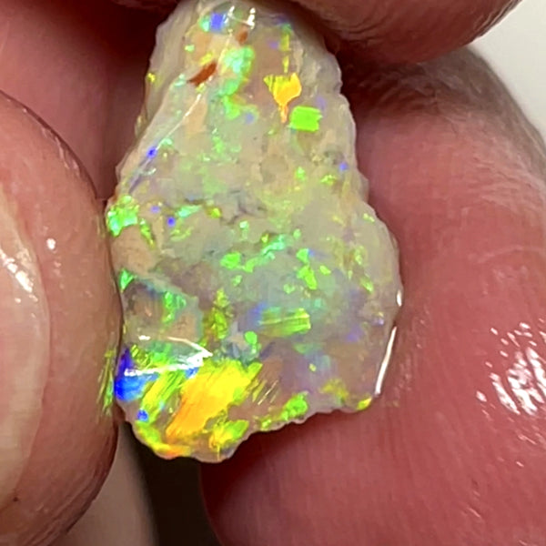 Lightning Ridge Opal Rough n Rub Single Dark Base Crystal knobby formation 3.5cts Showing very Bright Multifires 15.000 x 10.000 x 4.000 mm wae68