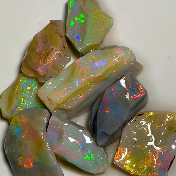 Lightning Ridge Rough Opal Parcel 65cts Select Dark base loaded bright Multicolours material to cut 25x10x7mm to 14x12x4mm MFB04