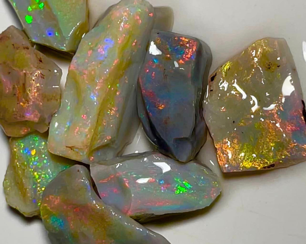 Lightning Ridge Rough Opal Parcel 65cts Select Dark base loaded bright Multicolours material to cut 25x10x7mm to 14x12x4mm MFB04