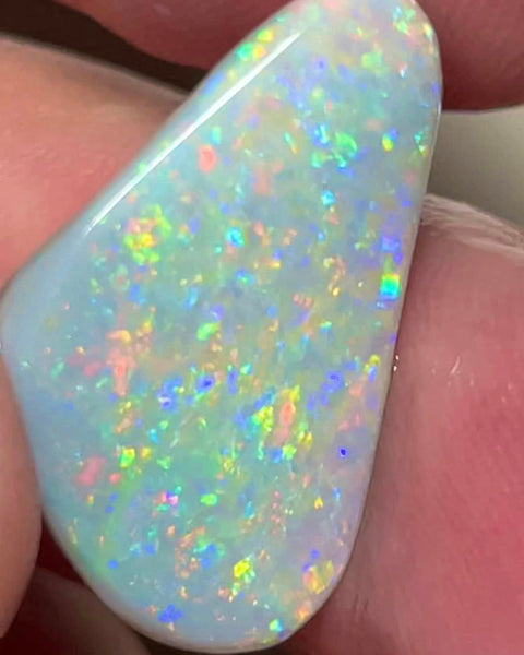 Lightning Ridge Rough / Rub Dark base opal Miners Bench® 6.75cts Big Clean & Gorgeous Multifires 25x15x2.5mm MFB8