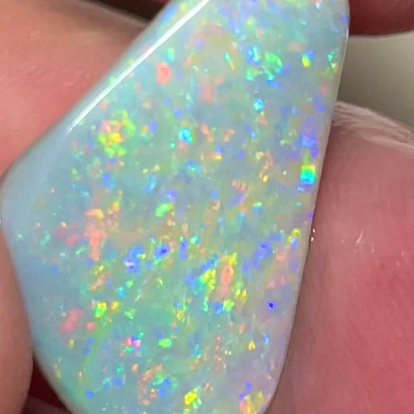Lightning Ridge Rough / Rub Dark base opal Miners Bench® 6.75cts Big Clean & Gorgeous Multifires 25x15x2.5mm MFB8
