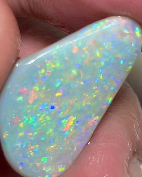 Lightning Ridge Rough / Rub Dark base opal Miners Bench® 6.75cts Big Clean & Gorgeous Multifires 25x15x2.5mm MFB8