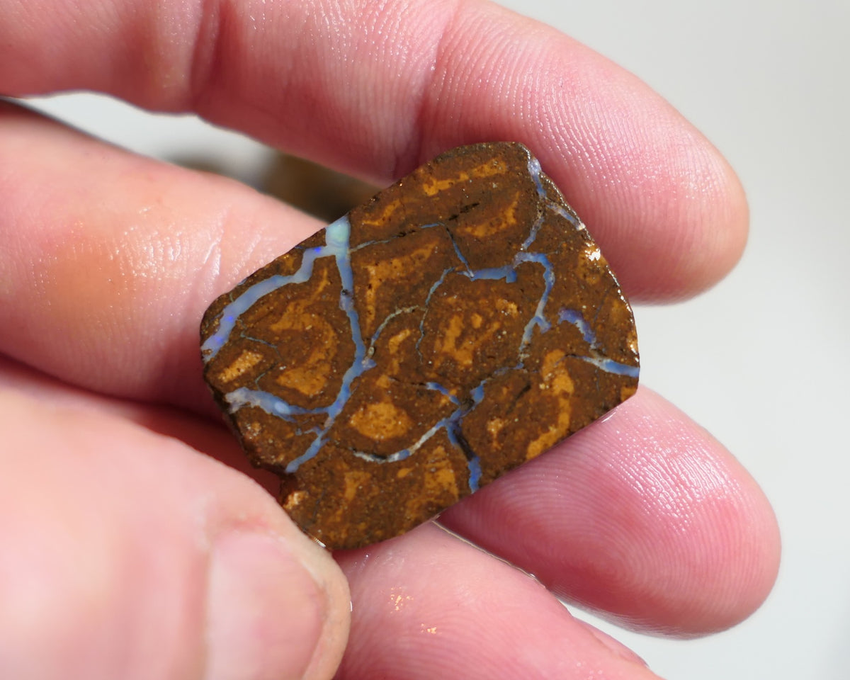 Australian Queensland Boulder/Matrix opal rough / slice single 45cts Koroit 30x20x6mm xmas2