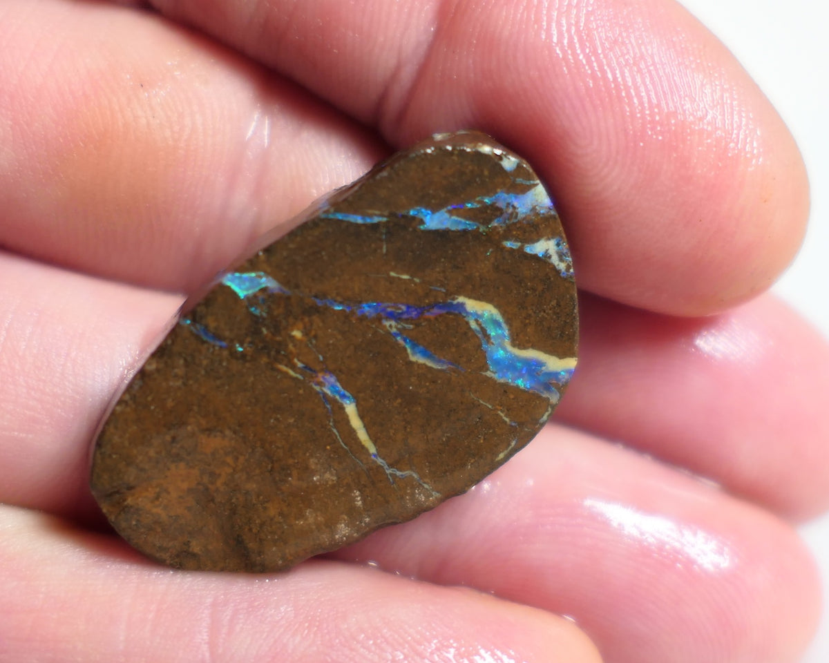 Australian Queensland Boulder/Matrix opal rough / slice single 35cts Koroit 30x20x5mm XMAS40