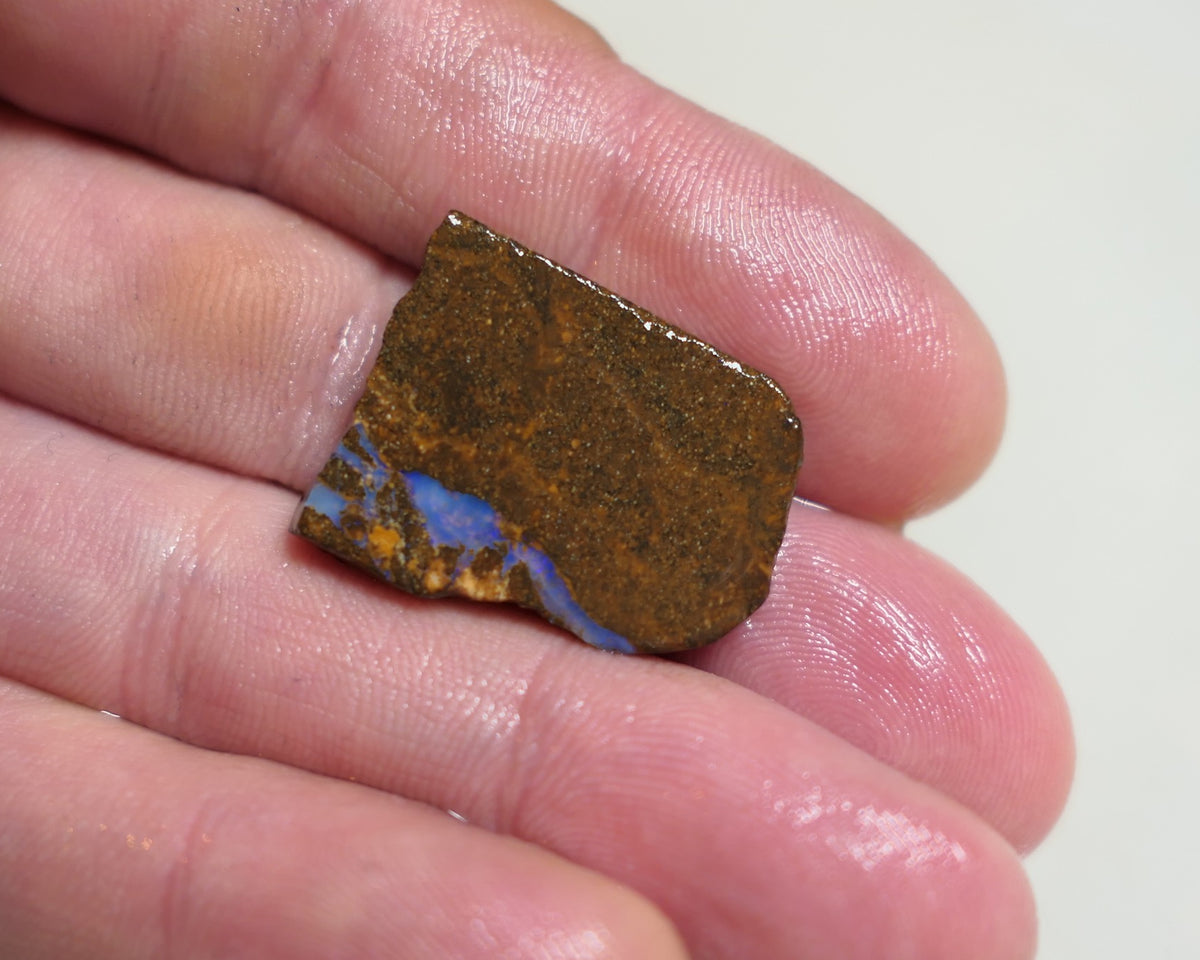 Australian Queensland Boulder/Matrix opal rough / slice single 25cts Koroit 25x15x5mm xmas13
