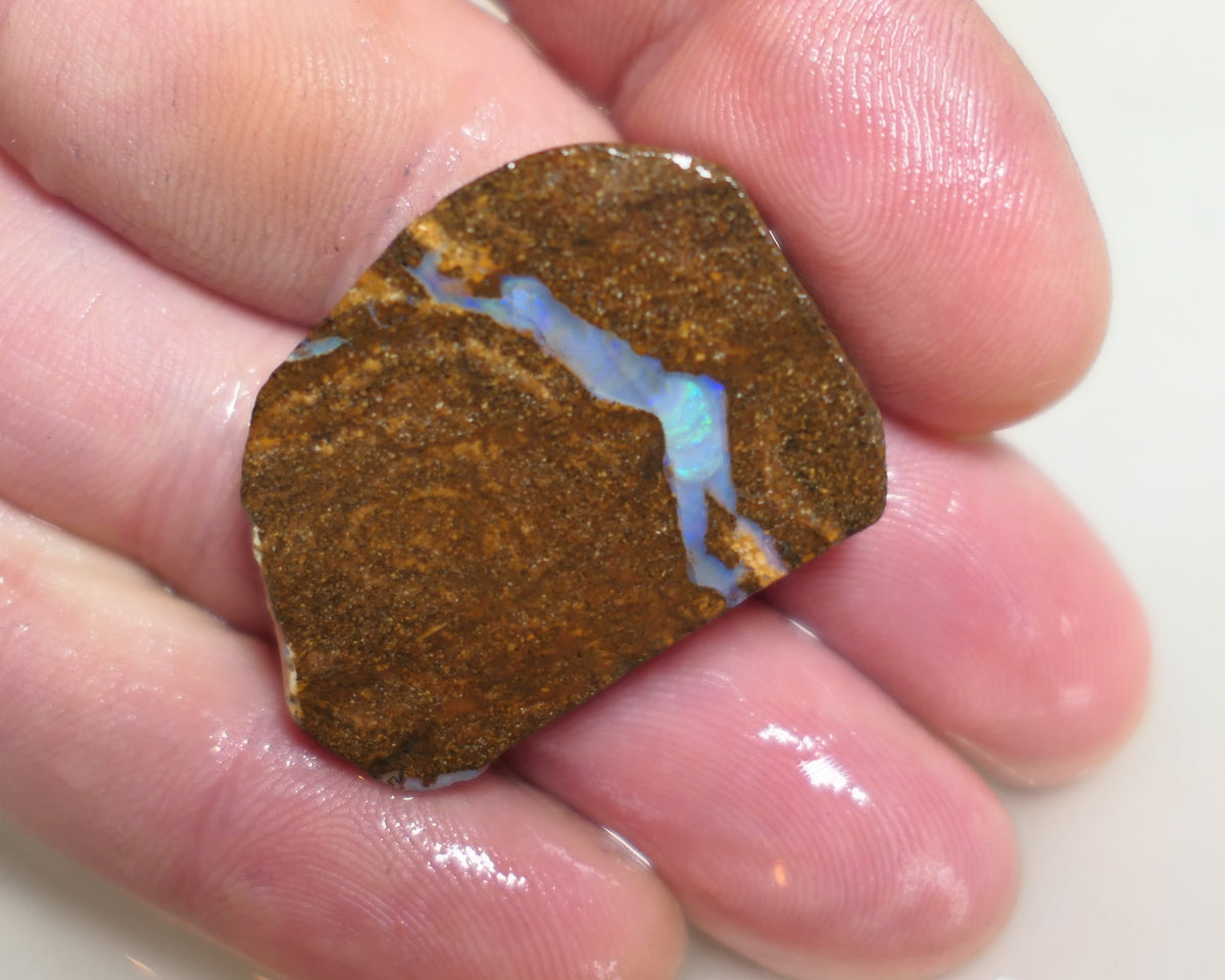 Australian Queensland Boulder/Matrix opal rough / slice single 42cts Koroit 35x25x5mm xmas12