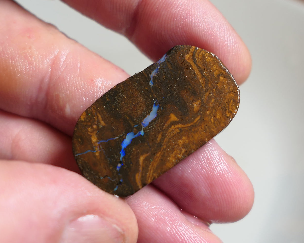 Australian Queensland Boulder/Matrix opal rough / slice single 30cts Koroit 30x20x4mm xmas9