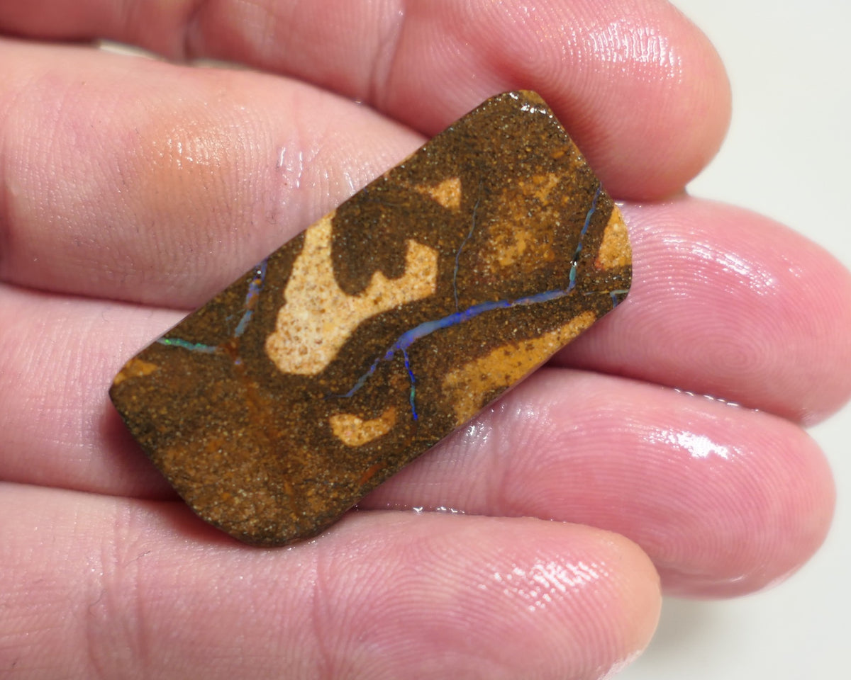 Australian Queensland Boulder/Matrix opal rough / slice single 40cts Koroit 40x15x5mm xmas14