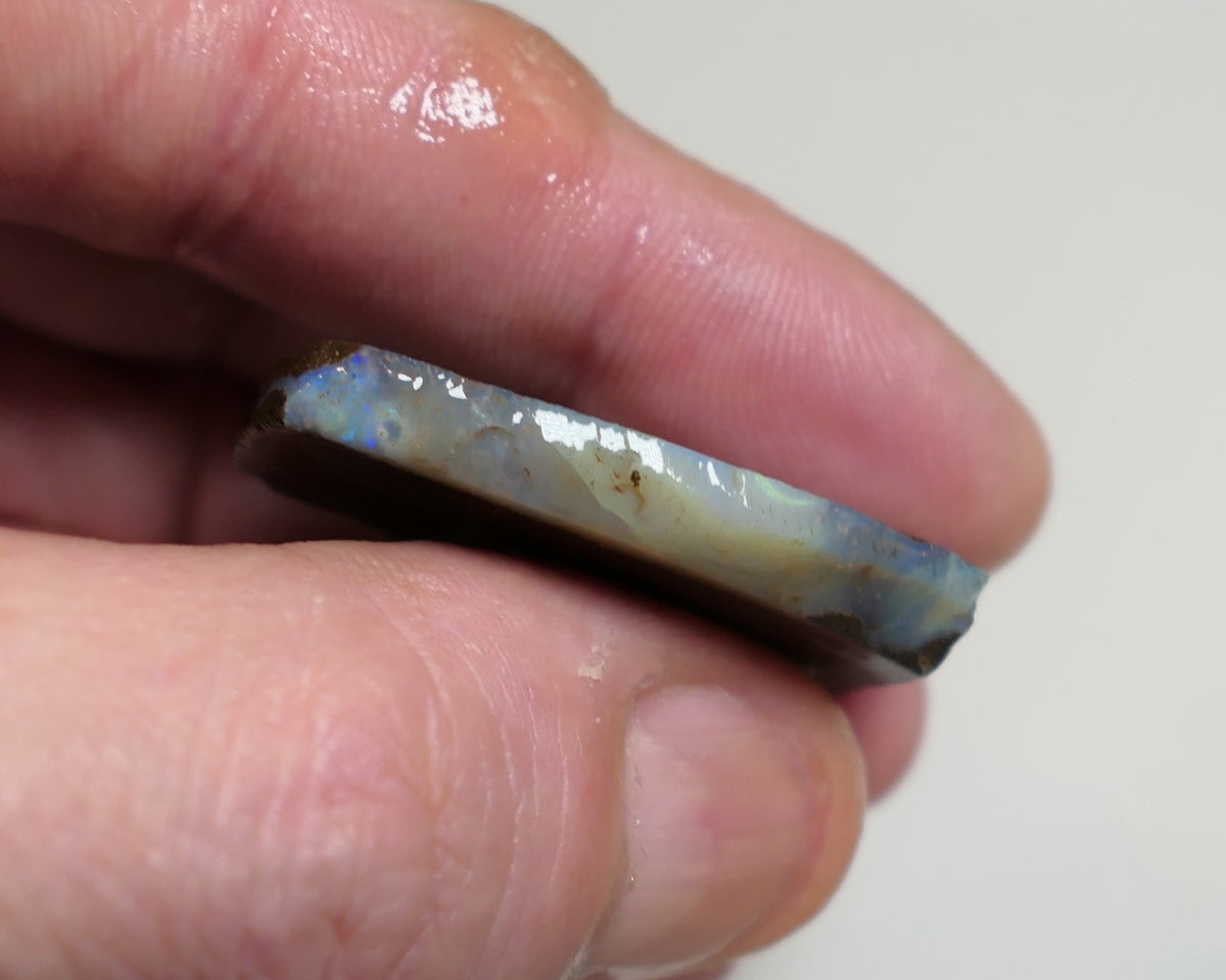 Australian Queensland Boulder/Matrix opal rough / slice single 48cts Koroit 35x20x5mm XMAS78