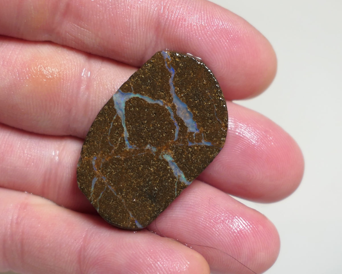 Australian Queensland Boulder/Matrix opal rough / slice single 41cts Koroit 35x20x5mm XMAS77