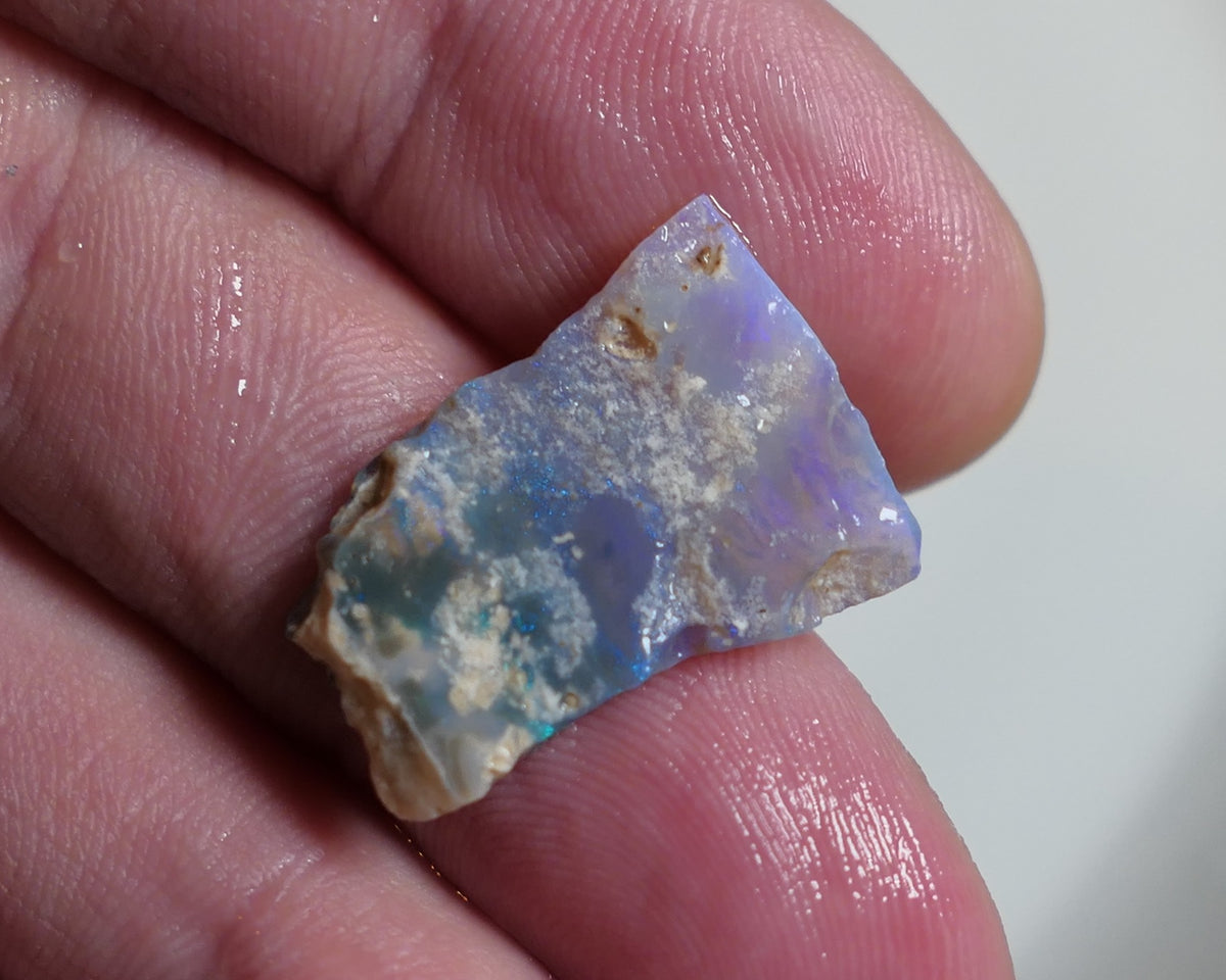 Lightning Ridge Opal Miners Bench® Dark base Crystal Rough / Rub Picture stone 6cts Nice Face with  fires 25x15x3mm XMASB21