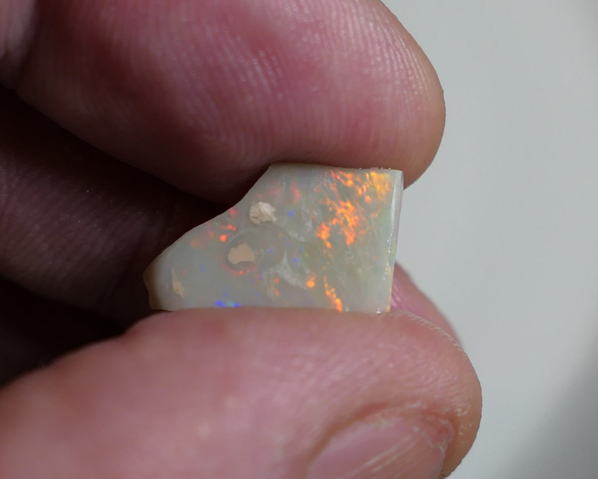 Lightning Ridge Opal Miners Bench® Dark base Rough / Rub 2.9cts Bright Orange Dominant Multifires to Face with Bright fires 15x10x3mm XMASB20