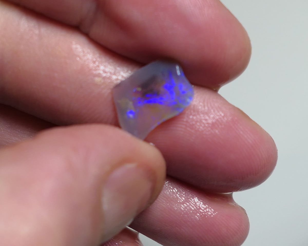 Lightning Ridge Opal Miners Bench® Dark base Crystal Rough / Rub 1.8cts Nice Face with Bright fires 12x9x2mm XMAS94
