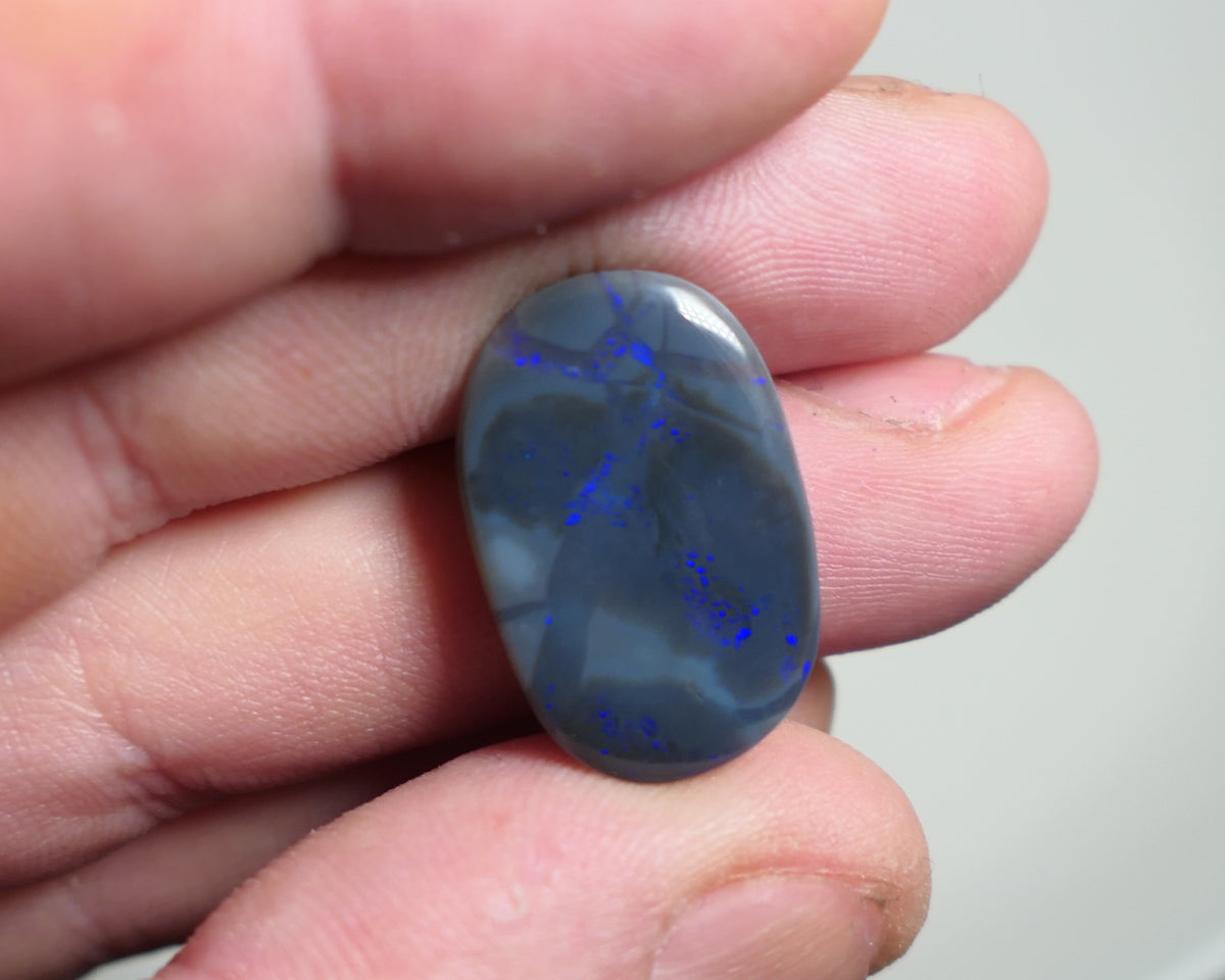 Lightning Ridge Dark opal Polished Gemstone Picture stone  8.5cts Polished ready for setting some Blue colours 25x15x3mm JanA33
