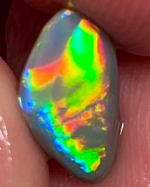 Lightning Ridge Small Opal Rough/Rub/Preform Dark Base Knobby Gem Grade From the Miners Bench® 1.5cts Stunning Bright Multi fires 13x7x2mm MFB48