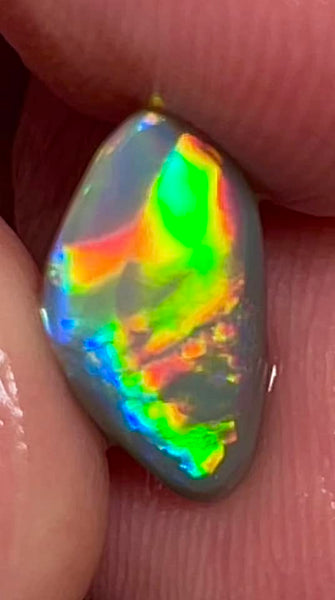 Lightning Ridge Small Opal Rough/Rub/Preform Dark Base Knobby Gem Grade From the Miners Bench® 1.5cts Stunning Bright Multi fires 13x7x2mm MFB48