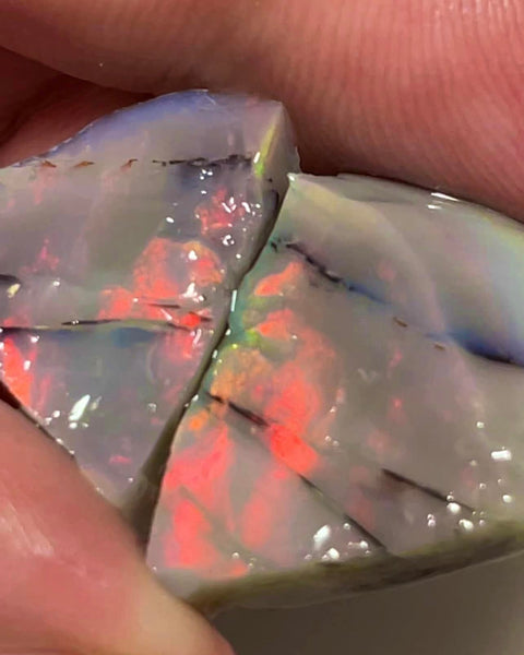 Lightning Ridge Reds on Dark Seam Split opal 33cts Nice size stunning exposed colours 23x15x7mm & 14x12x7mm  MFB46