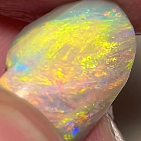 Lightning Ridge Rough / Rub Dark base opal Miners Bench® 7.5cts Red/Orange Dominant Vibrant Bright Multifires 14x11x8mm MFB44